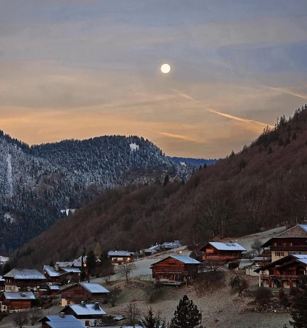 Montana Apartment Morzine 0*,